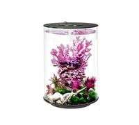 Kit Pour Petit Aquarium Comprenant Un Filtre, Un Éclairage LED Tricolore Et Une Pompe De Circulation D'eau Silencieuse, Adapté Aux Poissons Combattants (Betta) Et Aux Crevettes(Multi-colored-A)