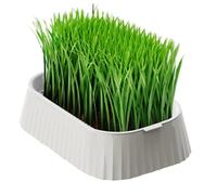 Kit Pousse à Chat,Bac de Culture Bio pour à Chat - Kit de Plantation Double Couche sans Terre, Germoir de Blé pour Animaux et Jardinage Maison
