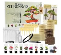 Kit Prêt à Pousser 10 Bonsai - Coffret Complet avec Graines Pots Outils & Notice - Kit Plantation Intérieure Facile Idée Cadeau