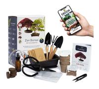Kit Prêt à Pousser Bonsaï Premium - 6 Variétés de Bonsaïs avec Outils d’Entretien - Idée Cadeau - Coffret Graines à Planter