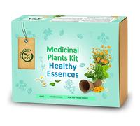 kit prêt à pousser - Plantes Médicinales - Jardin potager d’intérieur - Plantes (Menthe, Millepertuis, Camomille, Souci) - Idée Cadeau