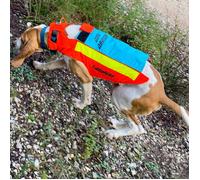 Kit rabat dorsal interchangeable bleu T45