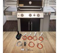 Kit Réparation Allumage Compatible avec Pour Barbecues à Gaz Weber's Model Ser