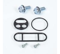 Kit réparation de robinet d essence Tourmax compatible avec Quad Kawasaki 360 KVF 2003 à 2011 FCK-51