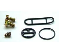 Kit réparation de robinet d'essence