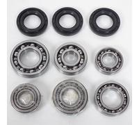 Kit réparation différentiel AR All Balls compatible avec quad Yamaha 700 Grizzly 2007-2016