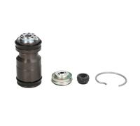 Kit reparation, maitre cylindre VALEO 2500234