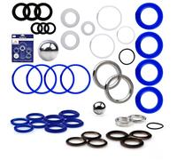 Kit Réparation pour Pulvérisateur Airless - Haute Qualité | Montage Facile | Compatible Graco Ultra Max II 1095/1595