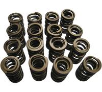Kit ressort de soupape Kibble White Ressorts Haute Performance