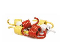 Kit ressort d'embrayage Malossi Racing pour maxi-scooter Honda, Kymco, GY6 125, 150cc