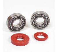 Kit Roulement 6204/C3 Joint Spi Racing Moteur 50 Minarelli Horizontal Vertical