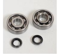 Kit roulement 6302 et joint spi de vilebrequin pour mobylette MBK AV7 AV10 16x42x13