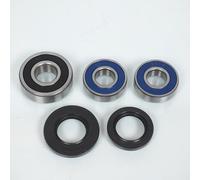 Kit roulement de roue AR All Balls compatible avec moto Honda 600 Hornet de 2007 à 2014
