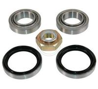 Kit Roulement De Roue Essieu Arrière Gauche Pour FORD SIERRA