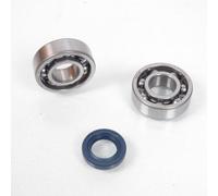 Kit Roulement Joint Spi Bas Moteur Vilebrequin One Pour Scooter Piaggio 50 Cyclo Neuf