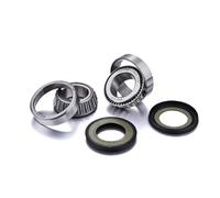 Factory Links Ajp/bmw/kawasaki/ktm/suzuki Ssk-t-069 Steering Bearing Kit Argenté