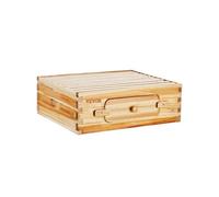Kit Ruche Langstroth Avec 10 Cadres et Fondations Fenêtres Acrylique Transparent