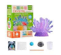 Kit scientifique de culture en cristal, kit d'artisanat en cristal, cristaux vibrants en seulement 3 à 5 jours (violet)