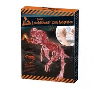 Kit scientifique de fouille de squelettes de dinosaures