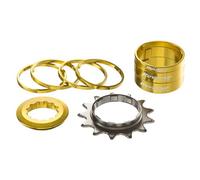 Kit single speed reverse pignon 13 dents or