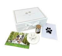 Kit souvenir pour animaux de compagnie - Boîte à souvenirs, empreinte de patte d'argile, bouteille souvenir en fourrure, kit de tampon encreur | Cadeau pour les amoureux des animaux | Collection