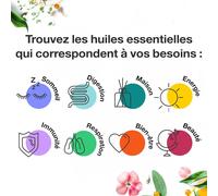 Kit Sport Huiles Essentielles Eucalyptus Citronné- Gaulthérie- Menthe Poivrée- Romarin À Camphre- Nigelle 100% Pure Bio 4x10ml + 1x50ml Hebbd Ecocert