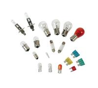 Kit Super 19 Ampoules H1 pour Véhicules 12V