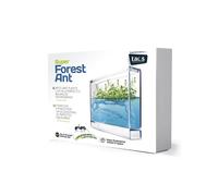 Kit super fourmiliere forest