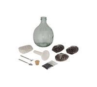 Kit terrarium végétal à faire soi-même DIY 5 litres