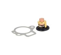 Kit thermostat for BF 8 9.9 15 20 25 30 40 50 60 100 200 225 19300-ZW9-003