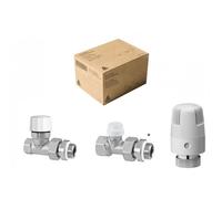 Kit thermostatique complet TL7 avec corps droit 15x21 1/2" RBM