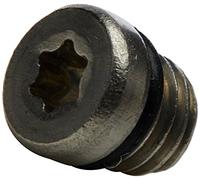 KIT TORNILLO/TORICA DE PURGADO SRAM INOXIDAB (20U)