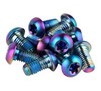 KIT TORNILLOS SRAM P.DISCO FR.TIT.T25 ARCOIR(12U)