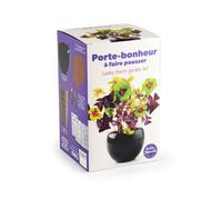 Kit trèfle porte bonheur