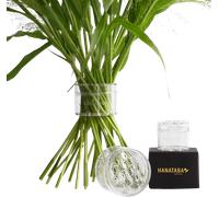 Kit "Twister pour Bouquet" Hanataba - Crystal Clear