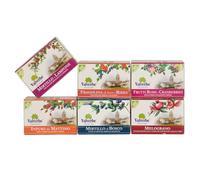 Kit Valverbe Fruits All Day 6 tisanes de 20 filtres CAD