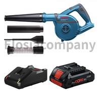 Kit ventilateur sans fil professionnel Bosch GBL 18V-120 avec chargeur de...