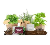 Kit Vintage d’Herbes Aromatiques Potager d'Intérieur (Thym Basilic Persil Coriandre) - Graines Biologiques produites en Espagne - Kit Prêt à Pousser pour Cultiver vos Herbes Facilement à la Maison