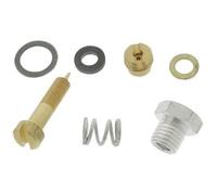 Kit vis de richesse BRIGGS ET STRATTON 299059