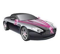 kit voiture 5 pièces fuchsia - 1401-05 Chaks Rose G