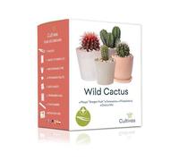 Cultivea – Mini Kit Prêt à Pousser Cactus – Graines françaises 100% écologiques – Idée cadeau