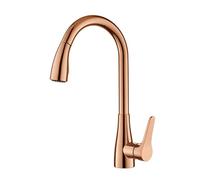 Kitchen Taps Mixer Tire Out Spray Out Antique Kitchen Sink Taps Bucheper Mélangeur à 360 ° Tap de cuisine pivot LWX