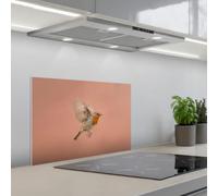 KitchenYeah© Crédence Adhésive Cuisine 40x60 cm Résistant À La Chaleur Plaque Adhesif Fond De Hotte Interieur Cuisson Sur Mesure Robin - Nature - Rose