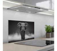 KitchenYeah© Crédence Adhésive Cuisine 40x60 cm Résistant À La Chaleur Plaque Adhesif Fond De Hotte Interieur Cuisson Sur Mesure Éléphant - Noir - Blanc - Fumée
