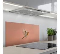 KitchenYeah© Crédence Adhésive Cuisine 45x90 cm Résistant À La Chaleur Plaque Adhesif Fond De Hotte Interieur Cuisson Sur Mesure Robin - Nature - Rose