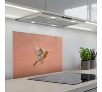 KitchenYeah© Crédence Adhésive Cuisine 50x70 cm Résistant À La Chaleur Plaque Adhesif Fond De Hotte Interieur Cuisson Sur Mesure Robin - Nature - Rose