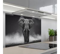 KitchenYeah© Crédence Adhésive Cuisine 55x80 cm Résistant À La Chaleur Plaque Adhesif Fond De Hotte Interieur Cuisson Sur Mesure Éléphant - Noir - Blanc - Fumée