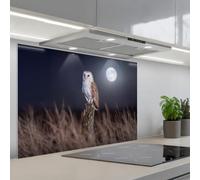 KitchenYeah© Crédence Adhésive Cuisine 55x80 cm Résistant À La Chaleur Plaque Adhesif Fond De Hotte Interieur Cuisson Sur Mesure Chouette effraie - Lune - Nuit