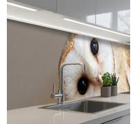 KitchenYeah© Crédence Adhésive Cuisine 60x300 cm Résistant À La Chaleur Plaque Adhesif Fond De Hotte Interieur Cuisson Sur Mesure Hibou - Marron - Blanc
