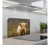 KitchenYeah© Credence Adhesive Pour Cuisine 40x60 cm Panneau Mural Adhesif Fond De Hotte Plaque Pvc Murale Peel And Stick Protege Mur Scotch highlander - Bergen - Champ d'herbe